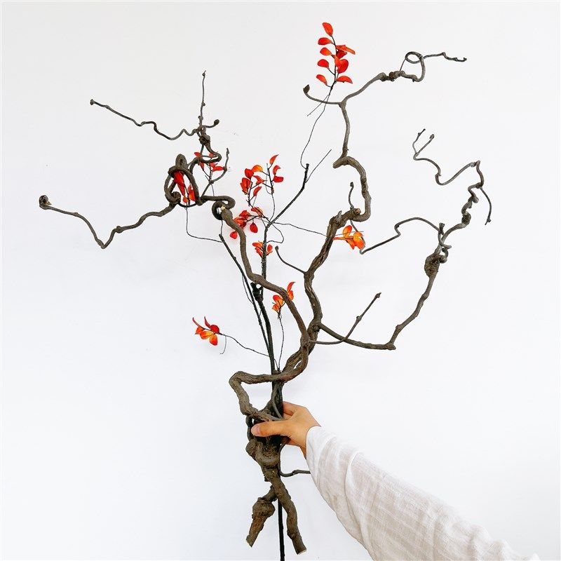 龙枣枝干树枝侘寂禅意中式插花装饰客厅家居酒店茶室摆设艺术枯枝,淘宝优惠券,粉丝福利购,淘宝优惠卷