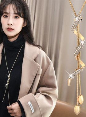 秋冬百搭毛衣链大气高档流苏项链女款长款装饰品衣服配饰挂件轻奢