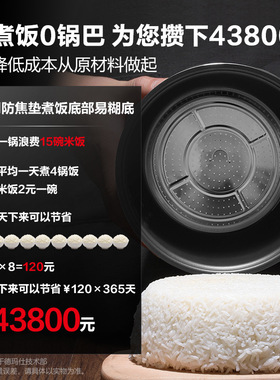 德玛仕电饭煲商用大容量不粘锅煮饭机酒店厨房专用