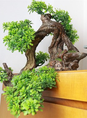 中式仿真假树梅花崖柏红枫园艺花卉盆景装饰景观树客厅家居假绿植