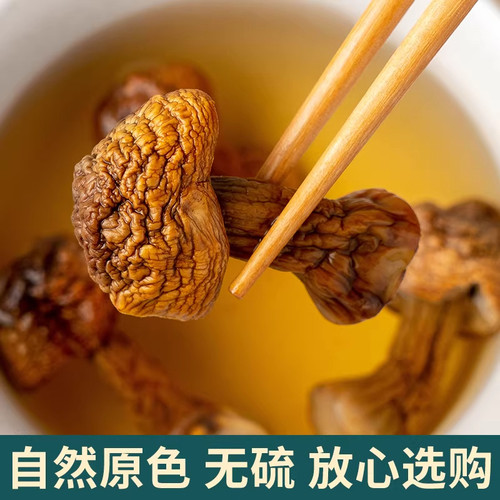 新货姬松茸干货云南特产精选非特级无硫松茸菌巴西菇蘑菇菌菇250g - 图2