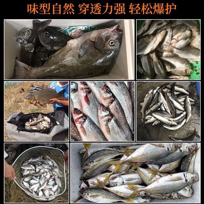 鲫鱼大叔同款v7开口果酸诱鱼粉浓度钓鱼小药黑坑添加剂鲫鲤鱼饵料,淘宝优惠券,粉丝福利购,淘宝优惠卷