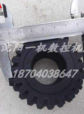 沈阳机床 CW61100 CW61125 5025 尼龙伞齿轮 双联齿轮 Z20 Z22