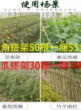 竹竿菜园搭架豆角黄瓜番茄爬藤蔬菜大棚支架彩旗2米3米竹子支撑杆