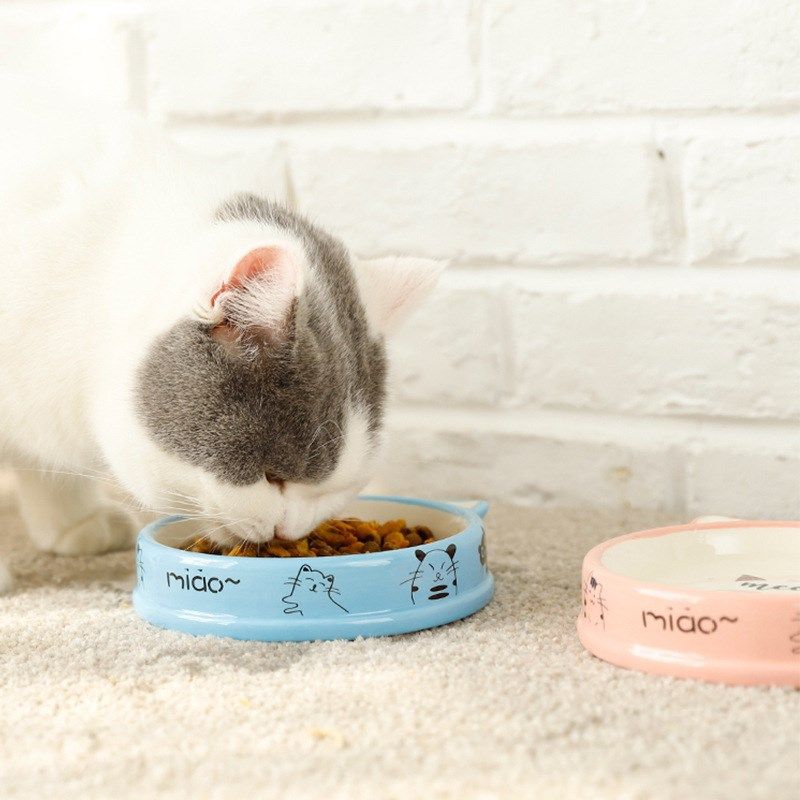 猫碗陶瓷可爱卡通宠物碗狗食盆 犬猫单碗 喝水碗宠物用品  猫食盆,淘宝优惠券,粉丝福利购,淘宝优惠卷