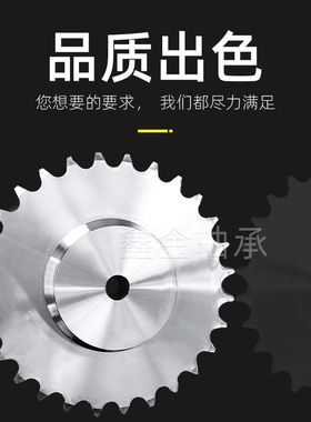 304不锈钢链轮06B3分10齿11 12 13 14 15 16 17 18 19 20 21-30齿