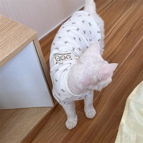 YH 德文猫无毛猫日式家居服睡衣 婴儿棉柔小蝴蝶结冬季新款 - 图0