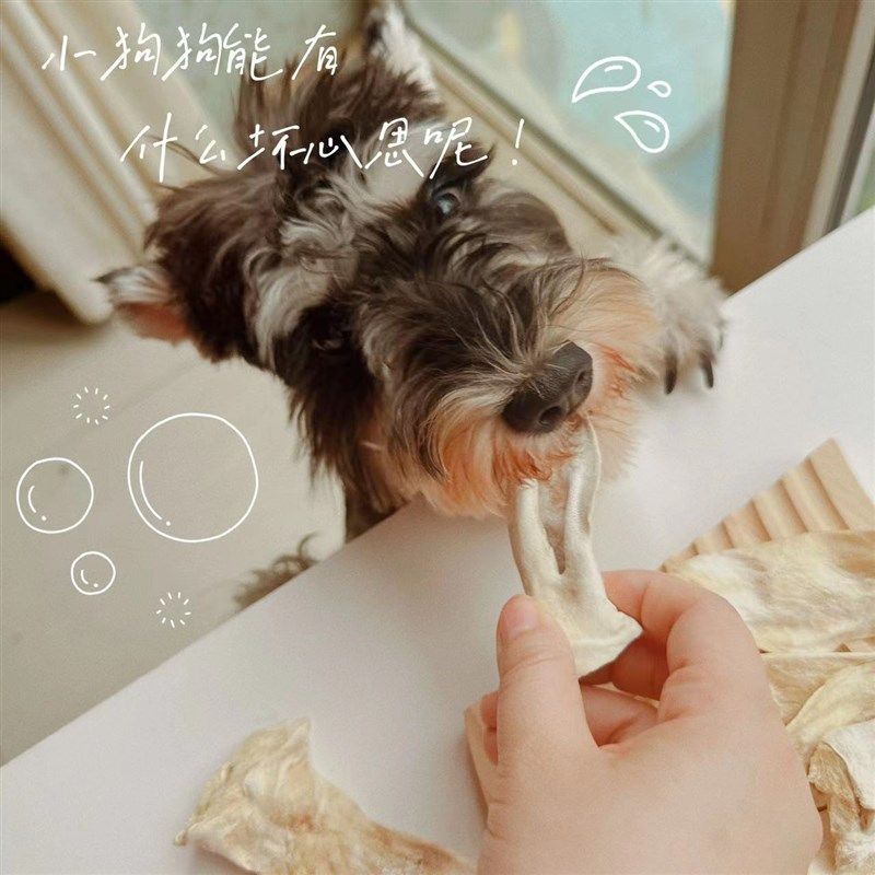 冻干兔耳朵猫咪冻干零食狗狗冻干零食宠物冻干零食兔耳朵零食磨牙,淘宝优惠券,粉丝福利购,淘宝优惠卷