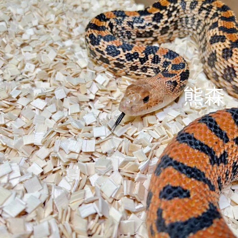 爬宠垫材白杨木片垫料8*8毫米小方木造景专用宠物蛇用品,淘宝优惠券,粉丝福利购,淘宝优惠卷
