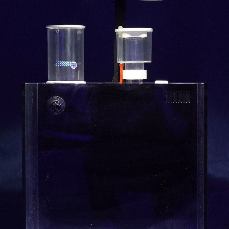 AE红海星补水桶海缸免电力补水器2L4L小缸微缸鱼缸小型自动补水桶,淘宝优惠券,粉丝福利购,淘宝优惠卷