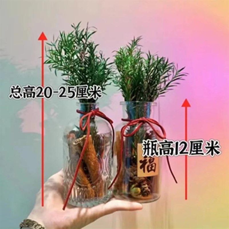 肉桂生财床头大肚森系搬家用房间装饰客厅窄口玻璃瓶聚米进米摆件,淘宝优惠券,粉丝福利购,淘宝优惠卷
