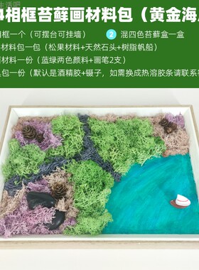 苔藓画DIY材料包圆托盘A4绿植相框团建活动手工物料楼盘沙龙亲子