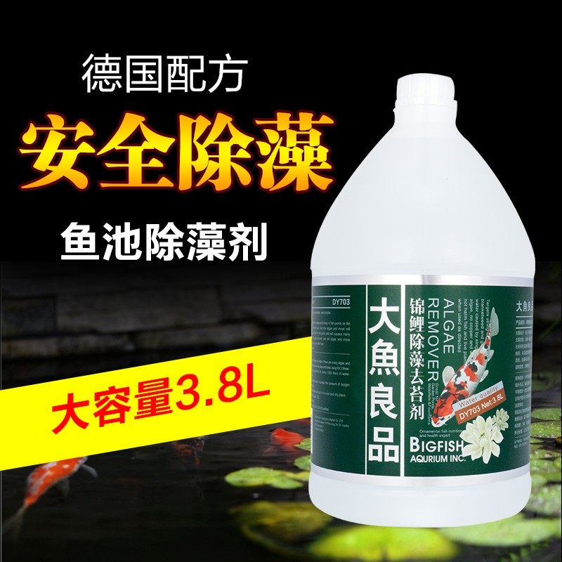 锦鲤鱼池除青苔剂除藻剂去藻除绿水除苔素水族箱除藻药水质净化,淘宝优惠券,粉丝福利购,淘宝优惠卷