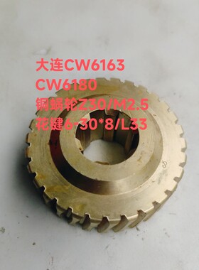 沈阳安阳大连兰州CW6163/CW6180车床溜板箱铜蜗轮6020Z30