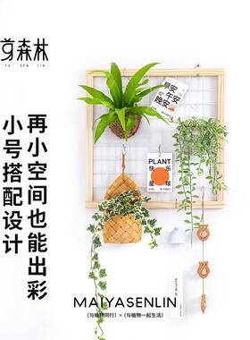 麦芽森林阳台网格花架置物架实木悬挂壁挂式幼儿园植物绿植挂墙架