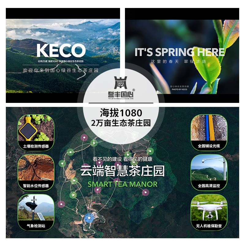 誉丰国心大红袍肉桂水仙新年马到成功茶叶大气礼盒送礼两盒装