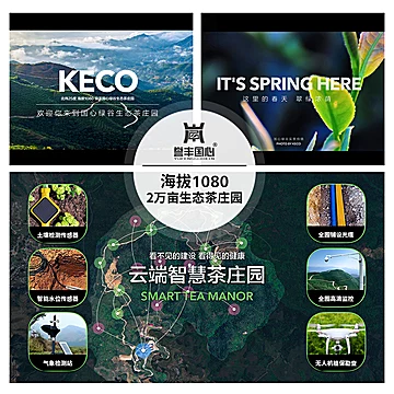 誉丰国心茶叶礼盒双旦赠3A门票高转化[1040元优惠券]-寻折猪