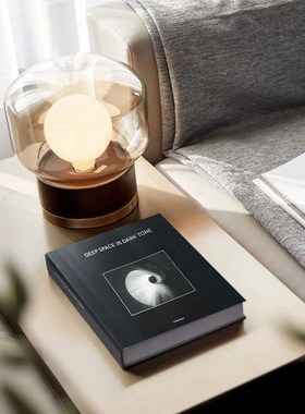 熙思高档精装可翻页装饰摆件书柜玄关家具样板房间酒店真书道具书