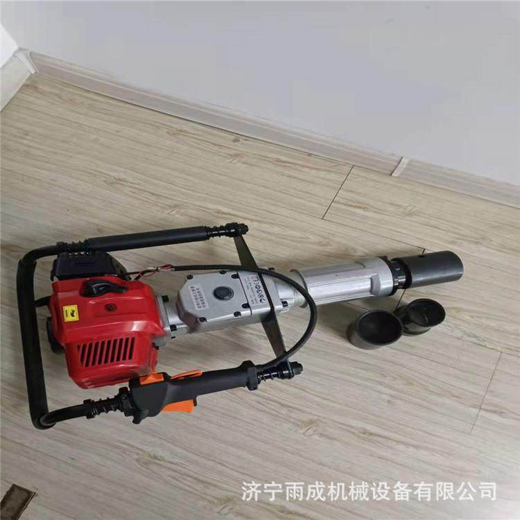 手持汽油打桩植桩机 防汛打桩机 河道加固木桩二冲程打桩机 - 图2