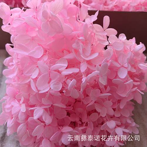 云南永生花木绣球盒装100克现货散装木绣球多色可选保鲜花 - 图2