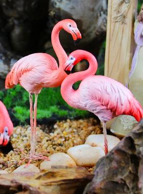 ZQ仿真火烈鸟摆件假山园艺花卉盆景景观造景红鹳小摆设玄关红鹤装