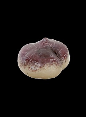 现代陶瓷杨桃樱桃小野果凉薯南瓜样板间摆件饰品