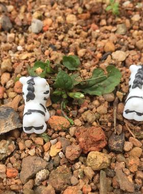 可爱仿真动物斑马苔藓微景观摆件迷你公仔玩具摆件 盆景装饰品