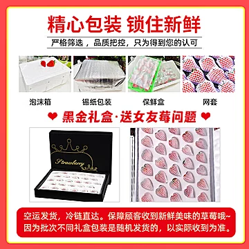 丹东99奶油草莓超大500g*2[30元优惠券]-寻折猪