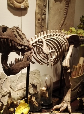 霸王恐龙仿真骨骼骨架化石大型家居动物摆件橱窗装饰树脂工艺品