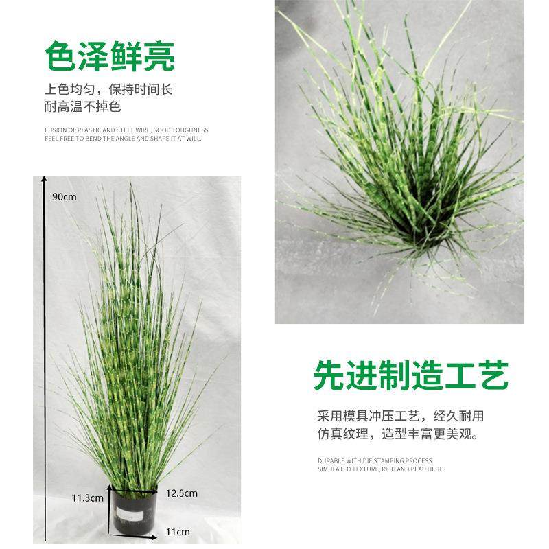 洋葱草盆景 桌面装饰品 植物仿真洋葱草盆栽,淘宝优惠券,粉丝福利购,淘宝优惠卷