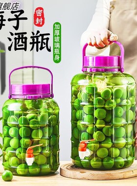 泡酒专用酒罐瓶 0b22b8c9斤密20斤 装酒容器高档封玻璃药酒酒坛1