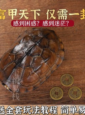 易经爻六铜钱工具卦卜铜钱龟壳真龟甲六爻铜钱摇卦卦牌算挂用品