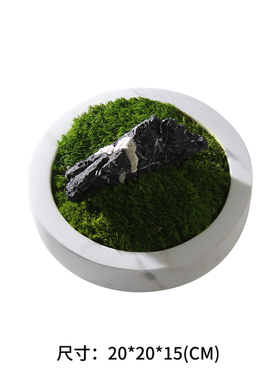 样板间售楼部洽谈桌装饰花艺书房书架卧室床头柜成品花艺绿植摆件