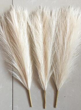 45cm Pampas Grass Simulation  Reed Grass Wedding Decoration