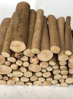 实木带皮圆木片壁炉装饰木柴树桩木材原木装饰木头山茶树木桩摆件