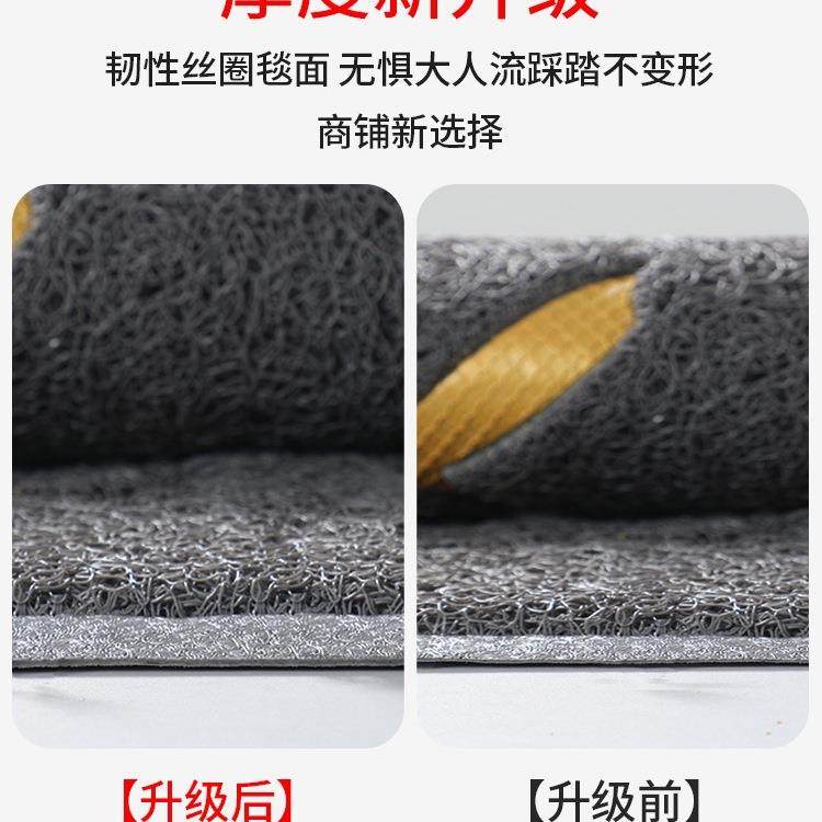 入户门地垫进门2025新款丝圈脚垫大门口家用门垫门外防滑耐脏地毯,淘宝优惠券,粉丝福利购,淘宝优惠卷