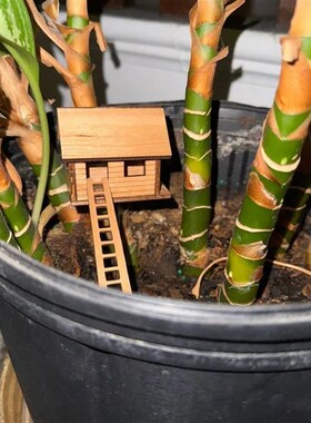 Plant Mini Treehouse 种植迷你树屋木质工艺品摆件花盆配件