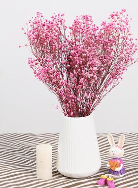 Natural Fresh Dried Preserved Flowers Gypsophila Paniculata