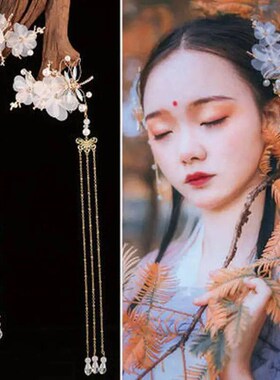 Elegant Classical Style Dragonfly Traditional HANFU Chinese