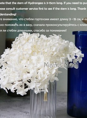 Colorful Preserved Hydrangea Home Decoration Wedding Decorat
