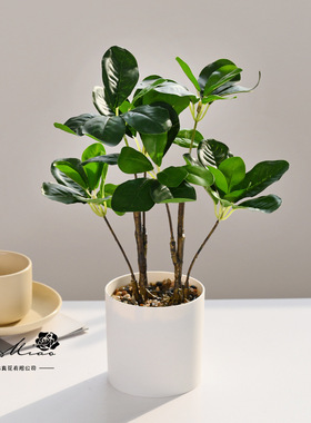 假花发财树绿植盆景人造植物厂家直供仿真花创意家居摆件仿真盆栽