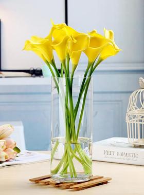 水培玻璃透明富贵竹花瓶摆件客厅插花欧式简约大号水养直筒瓶特大