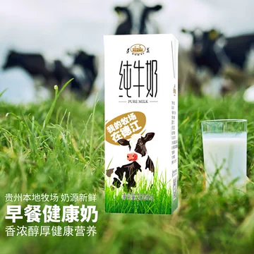 奶香醇厚一口就爱上！遵义纯牛奶200ml*10盒[6元优惠券]-寻折猪