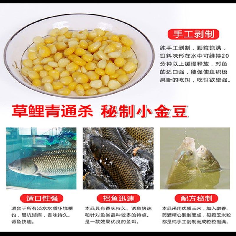 钓鱼嫩玉米粒鱼饵料野钓通杀颗粒夏天水库黑坑大草鱼青鱼鲤鱼专钓,淘宝优惠券,粉丝福利购,淘宝优惠卷