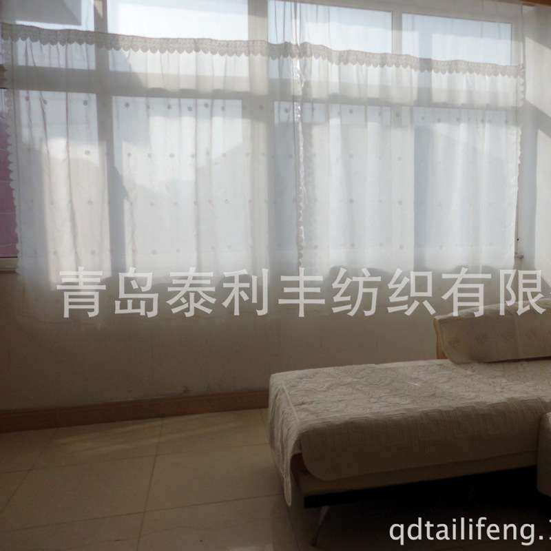 韩式双层窗帘白色梦幻公主房绣花蕾丝花边窗纱落地帘客厅帘公主风,淘宝优惠券,粉丝福利购,淘宝优惠卷