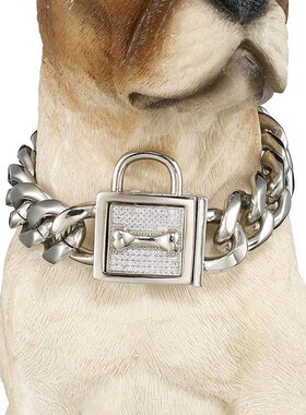 19mm white diamond buckle stainless steel dog chain collar c