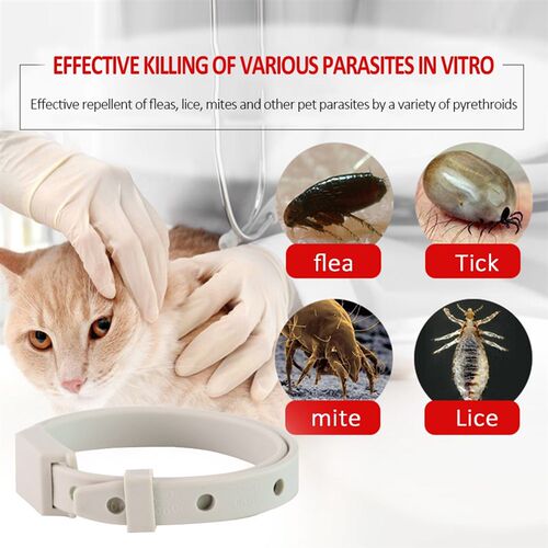 Adjustable Pets Necklet Cat Accessories Dogs Cats Anti Mosqu - 图1