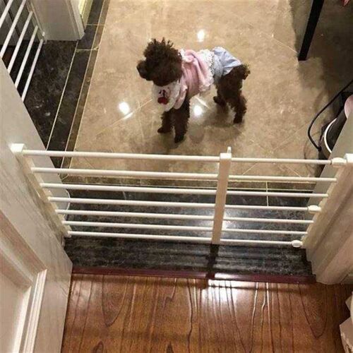 No holing block rabbit, puppy, dog, pet gate fence fence, - 图2