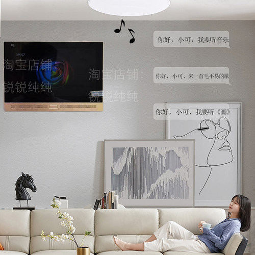 声必可p6家庭背景音乐主机小可智能家居控制面板p6e涂鸦全宅音响 - 图1