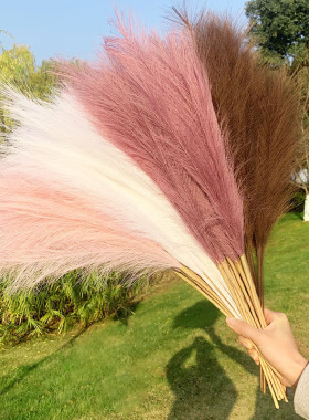 1PC Artificial Pampas Grass Branch Flowers Vase Decorations